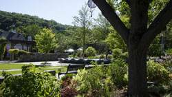 Farmers Market & Art & Events